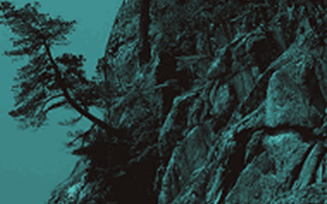Network Year-one Implementation Progress Report – July 2025